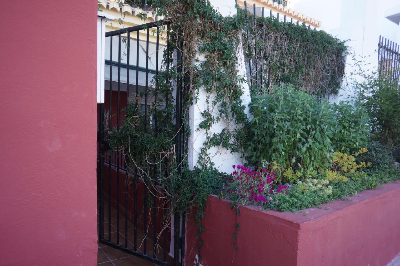 Cute And Relaxing Bed And Breakfast En Albayzin Granada Eksteriør bilde